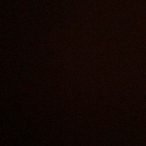 Meet your Posher, Betty